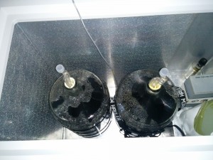 10gal_air_yeast