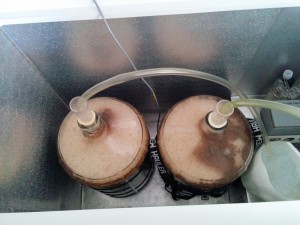 fermenting